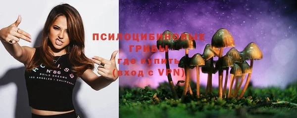 бутират Богданович