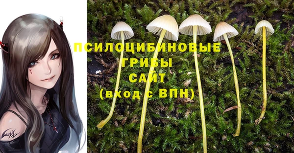 бутират Богданович